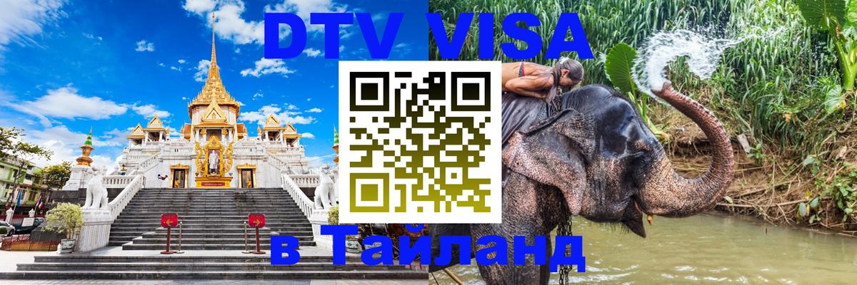 Сколько стоит DTV виза — актуальные цены, оформление даже без документов - 